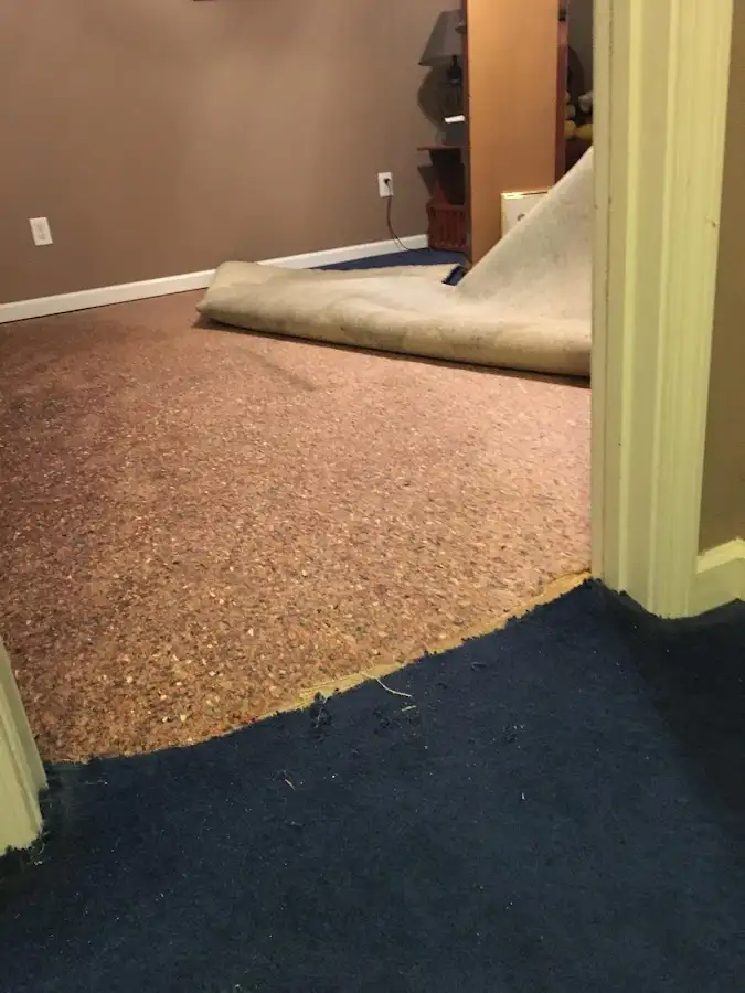 Carpet pad removal revealing water damage during Drying & Dehumidification in West Ocean City