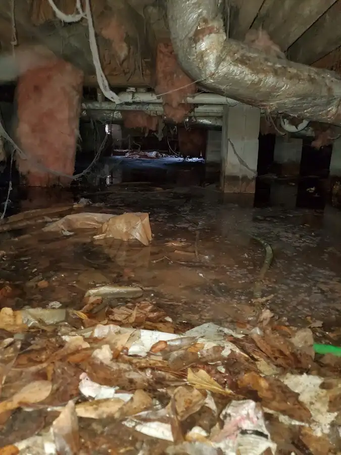 Crawl space flood assessment for Leak Detection & Repair in West Ocean City